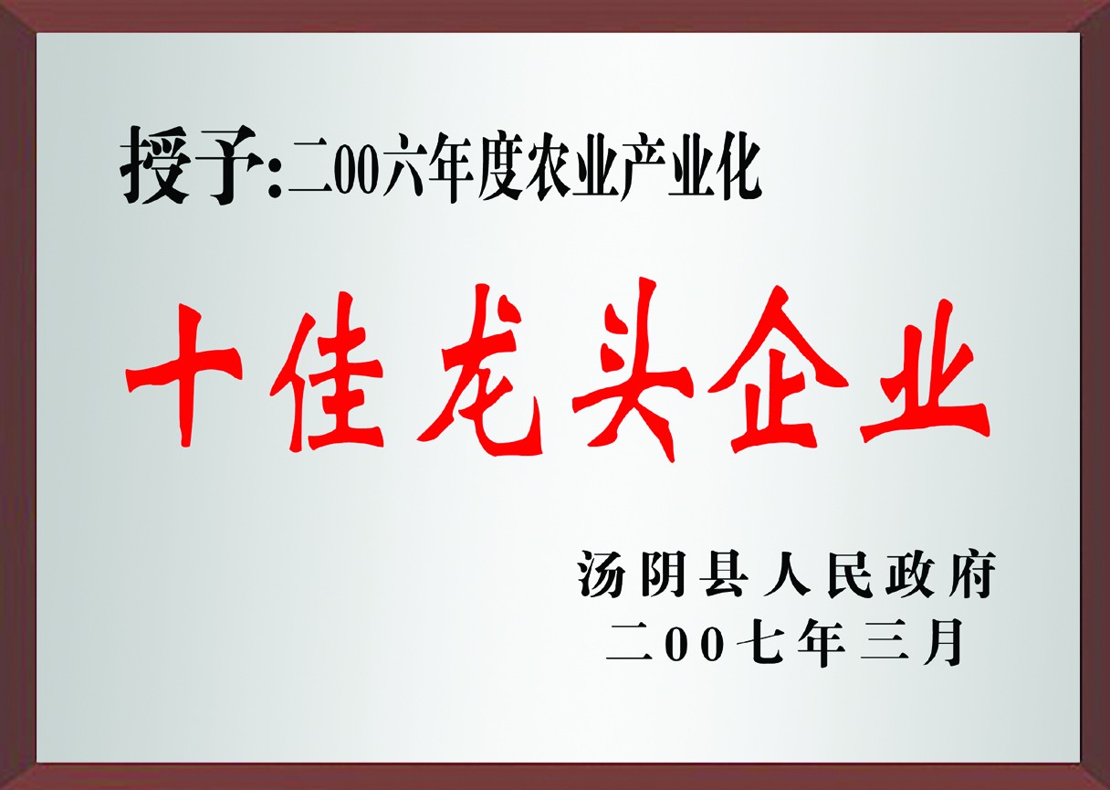 十佳龍頭企業