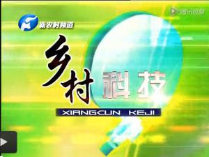 新農(nóng)村對(duì)電商【河南益農(nóng)】專(zhuān)題報(bào)道