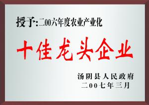 十佳龍頭企業