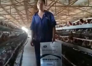 原保軍在河南安陽為益農蛋雞預混料代言！