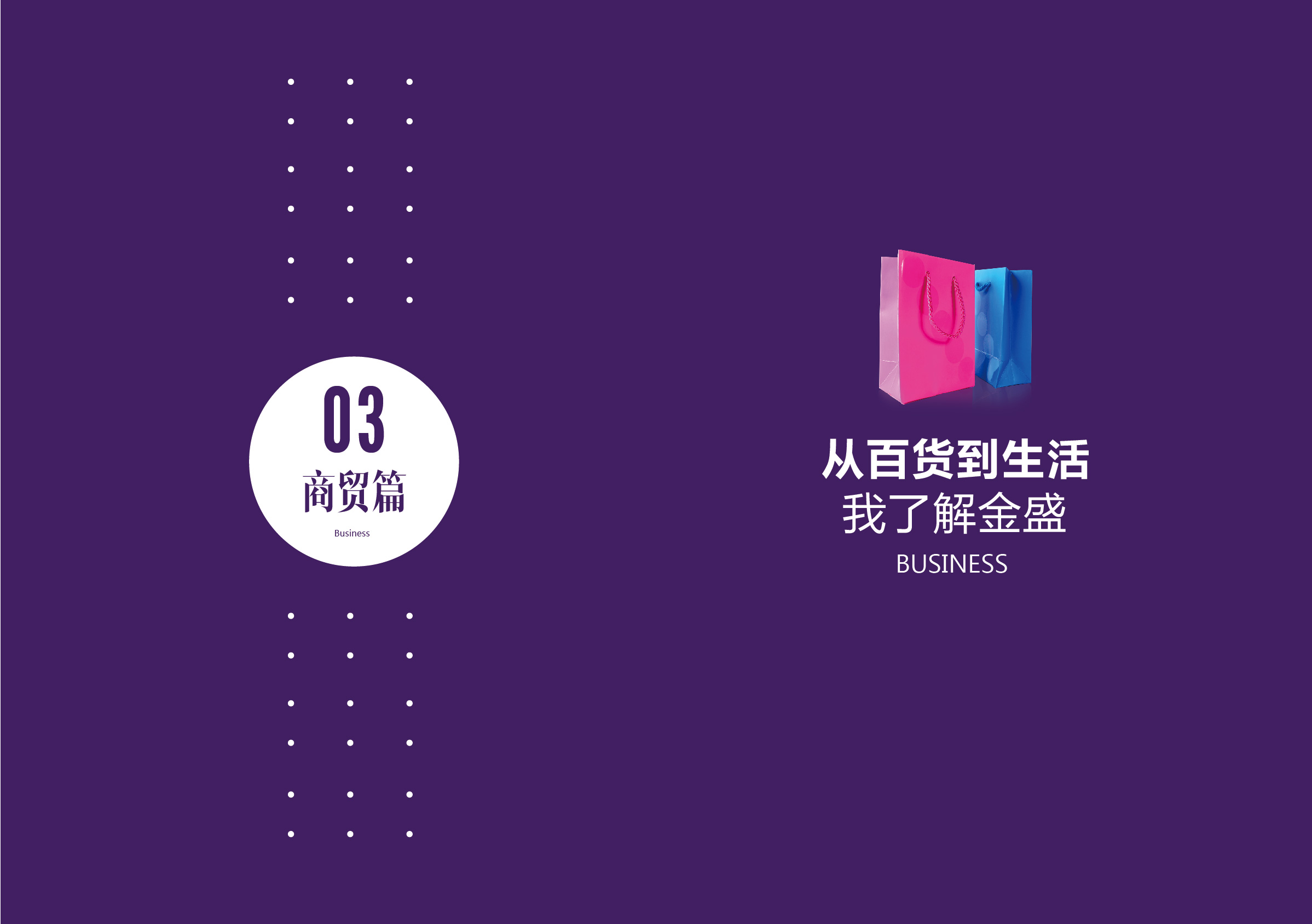 金盛集團宣傳手冊2_012
